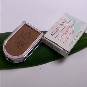 Mary Kay Gingersnap Powder Perfect Eye Color 5958